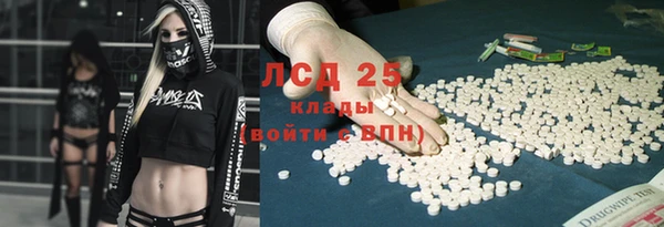 PSILOCYBIN Вязники