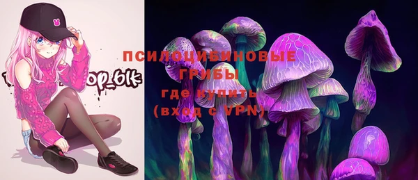 PSILOCYBIN Вязники