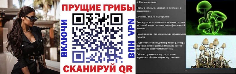 Купить закладки  Киров  Галлюциногенные грибы GOLDEN TEACHER 